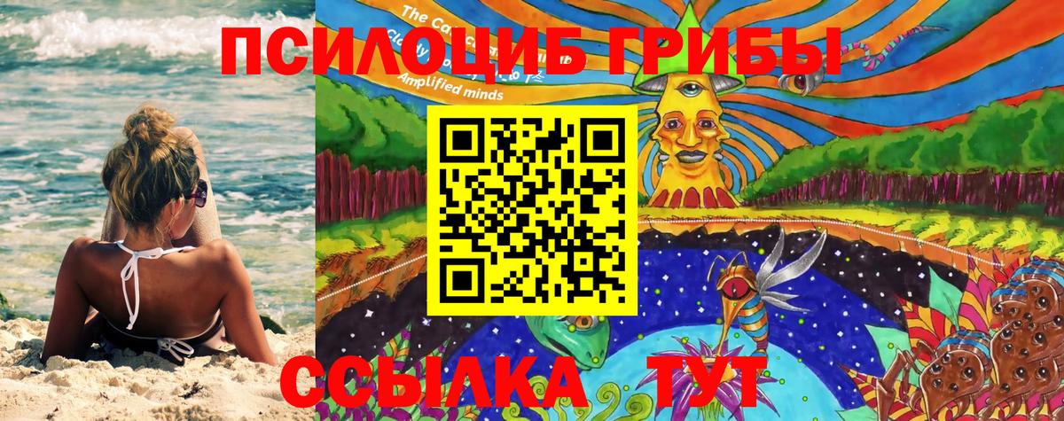 Галлюциногенные грибы Cubensis  Вход с VPN  Гусев 